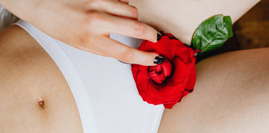 Bas-ventre d'une femme tenant une rose, illustration de l'endométriose